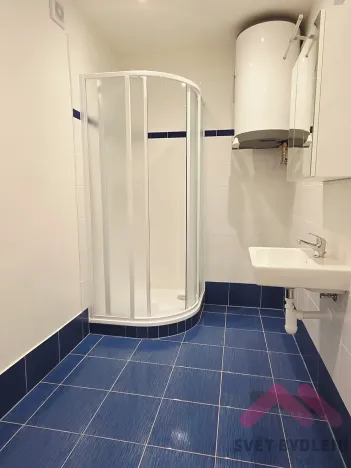 Pronájem bytu 2+1, Praha - Žižkov, Viklefova, 82 m2