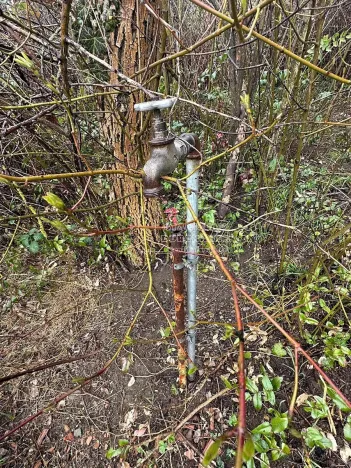 Prodej chaty, Brno, 22 m2