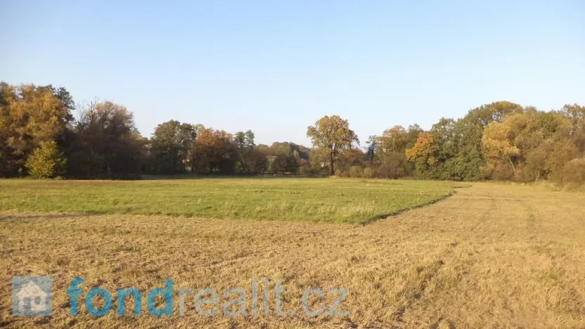 Prodej pozemku, Petrovice u Karviné, 6981 m2