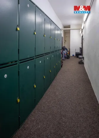 Prodej obchodního prostoru, Pardubice - Bílé Předměstí, Dašická, 1230 m2