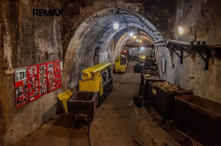 Prodej komerčního pozemku, Chrustenice, 1063 m2