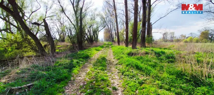 Prodej pozemku, Hořín - Vrbno, 788 m2