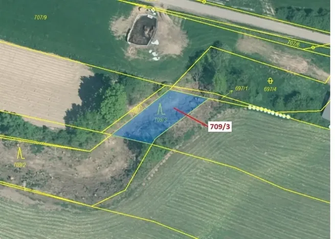 Dražba lesa, Osek, 301 m2