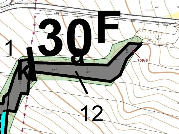Dražba lesa, Osek, 301 m2