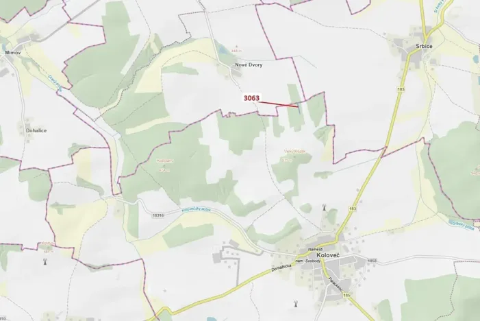 Dražba lesa, Koloveč, 703 m2