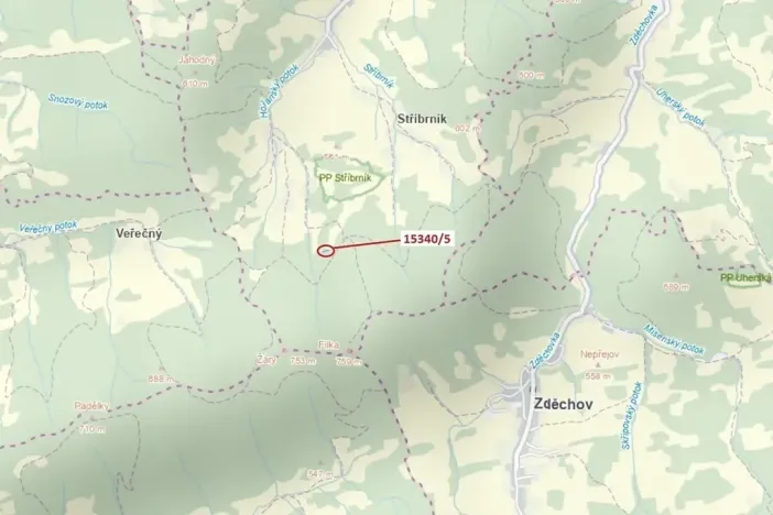 Dražba lesa, Hovězí, 312 m2