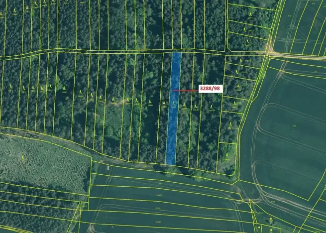 Dražba lesa, Hosty, 1685 m2