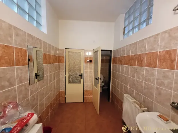 Prodej obchodního prostoru, Lysá nad Labem, Tyršova, 700 m2