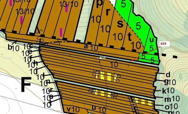 Dražba lesa, Hradčany-Kobeřice, 1895 m2
