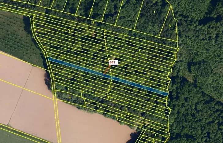 Dražba lesa, Hradčany-Kobeřice, 1989 m2