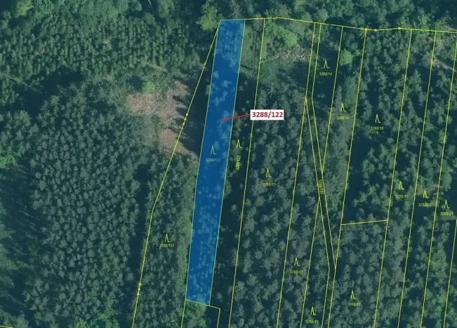 Dražba lesa, Hosty, 1942 m2