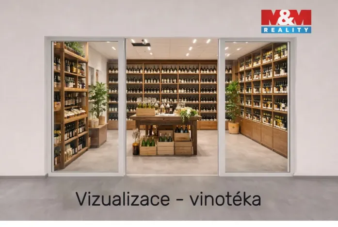 Pronájem obchodního prostoru, Benešov, Vnoučkova, 23 m2