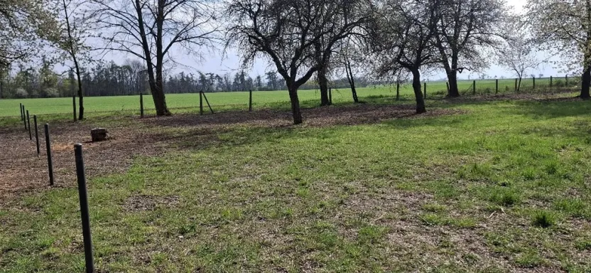 Prodej pozemku, Jenišovice, 871 m2