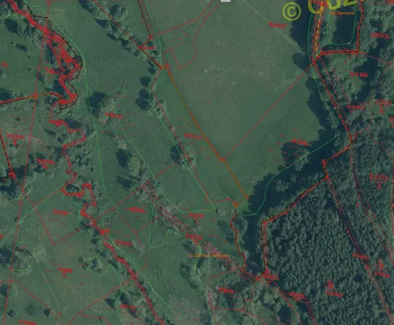 Prodej pole, Bělá nad Radbuzou, 174301 m2