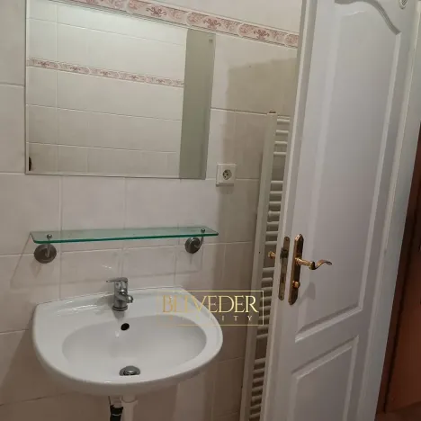 Pronájem bytu 1+1, Teplice, Masarykova třída, 45 m2