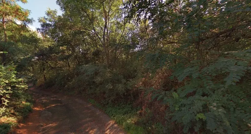 Prodej podílu lesa, Brno, Kupkova, 1313 m2