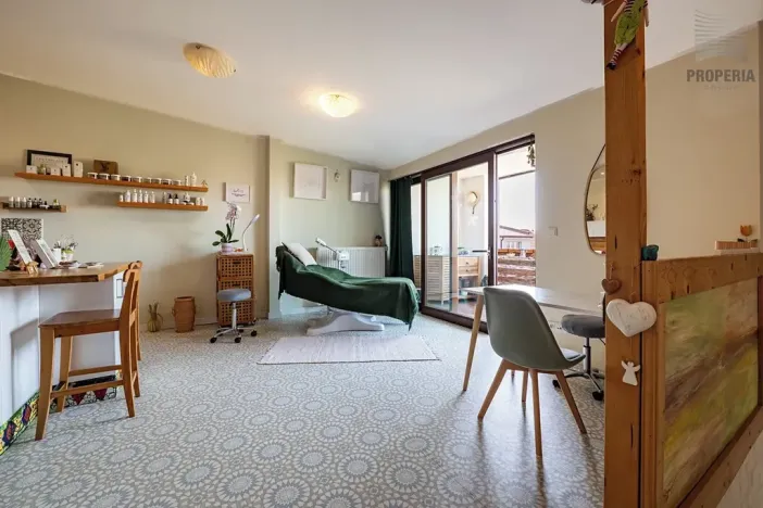 Prodej vícegeneračního domu, Brno, Otakara Ševčíka, 190 m2