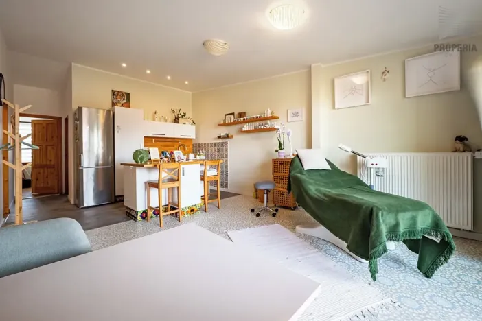 Prodej vícegeneračního domu, Brno, Otakara Ševčíka, 190 m2