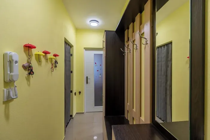 Prodej bytu 2+1, Brno, Foerstrova, 54 m2