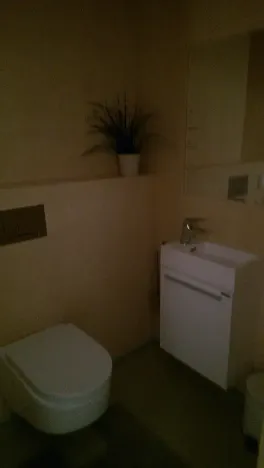 Pronájem bytu 3+kk, Praha - Karlín, U Sluncové, 90 m2