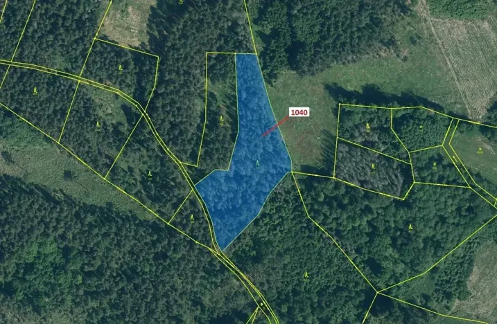 Dražba lesa, Hradiště, 6519 m2