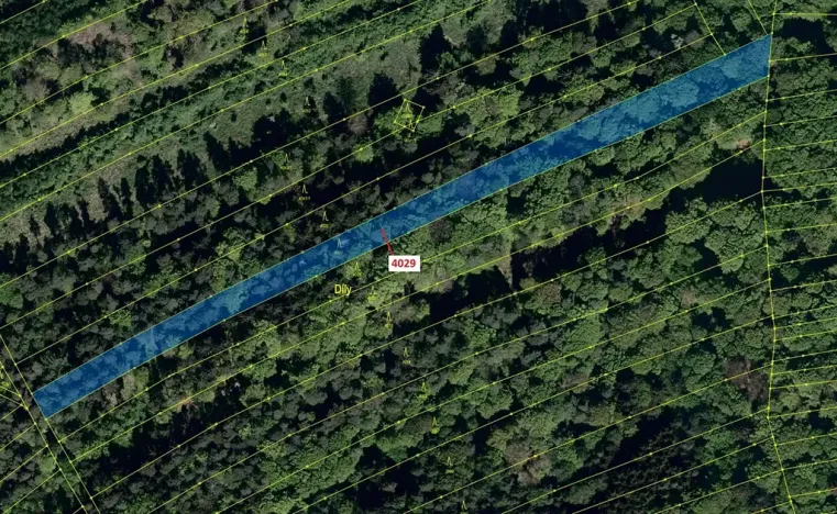 Dražba lesa, Pitín, 5996 m2