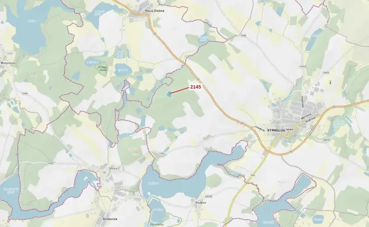 Dražba lesa, Strmilov, 5413 m2