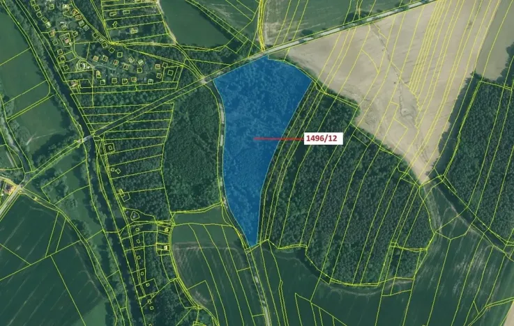 Dražba lesa, Římov, 52265 m2