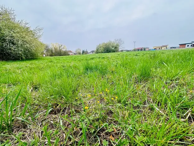 Prodej pozemku pro bydlení, Dlouhá Lhota, 3560 m2