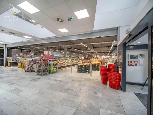 Prodej obchodního prostoru, Mladá Boleslav, Mileny Hážové, 4857 m2