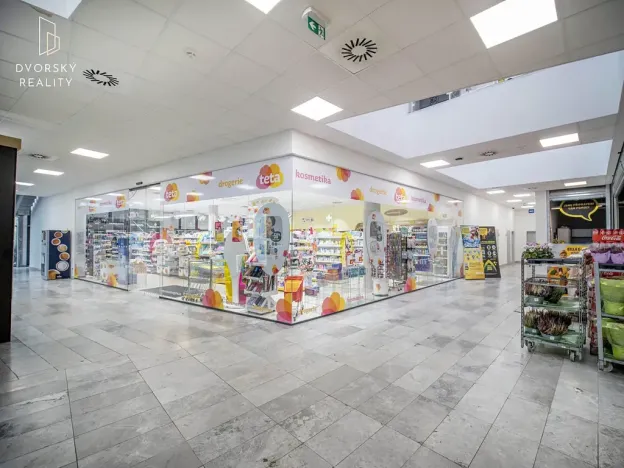 Prodej obchodního prostoru, Mladá Boleslav, Mileny Hážové, 4857 m2