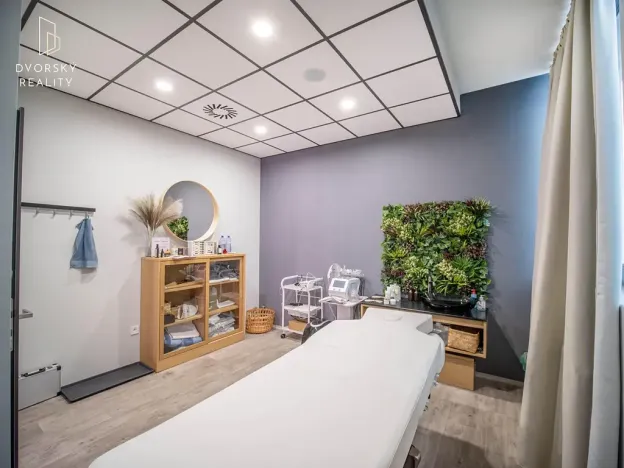 Prodej obchodního prostoru, Mladá Boleslav, Mileny Hážové, 4857 m2