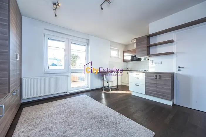 Prodej bytu 2+kk, Praha - Břevnov, Patočkova, 67 m2