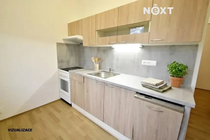 Pronájem bytu 3+1, Brno, Jílová, 55 m2