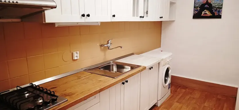 Pronájem bytu 1+1, Praha - Smíchov, Děvínská, 52 m2