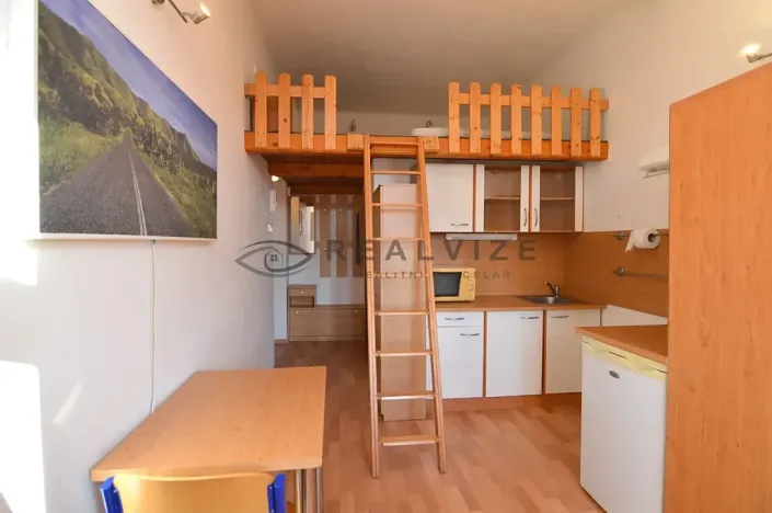 Pronájem bytu 1+kk, České Budějovice, Šumavská, 21 m2