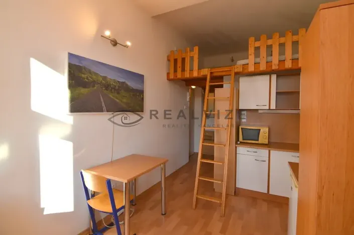 Pronájem bytu 1+kk, České Budějovice, Šumavská, 21 m2