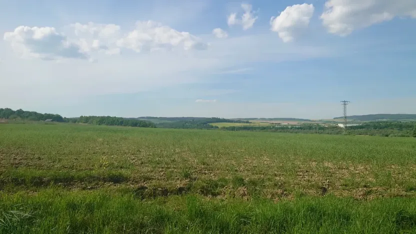 Prodej pozemku pro bydlení, Rokycany, Tymákovská, 12831 m2