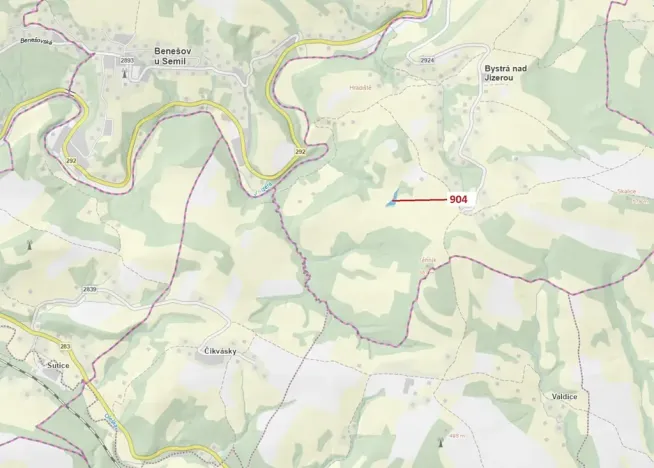 Dražba lesa, Bystrá nad Jizerou, 2802 m2