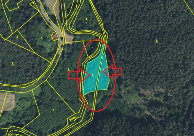 Prodej lesa, Chocnějovice, 2953 m2