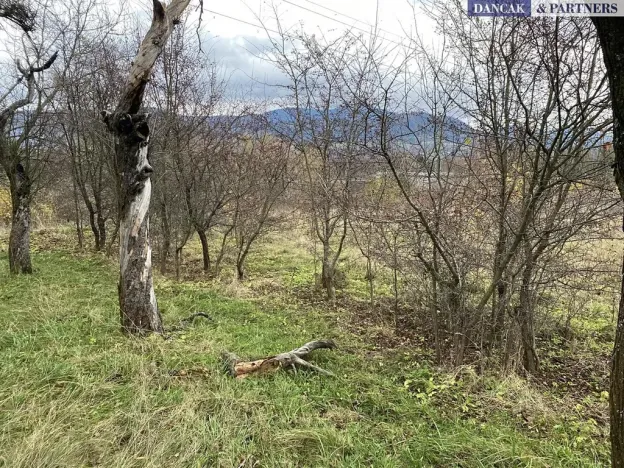 Prodej pozemku pro bydlení, Frýdlant nad Ostravicí, Havlíčkova, 6279 m2