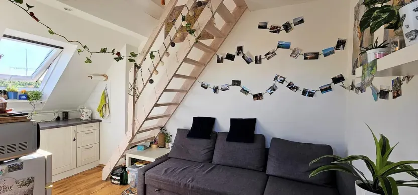 Pronájem bytu 2+kk, Brno - Černovice, Řehořova, 26 m2