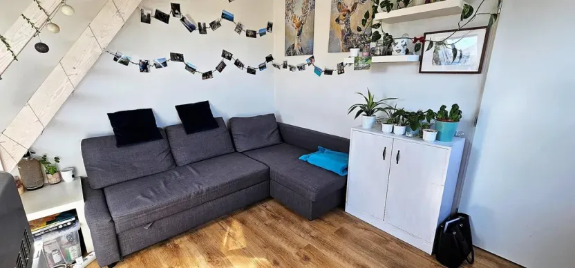 Pronájem bytu 2+kk, Brno - Černovice, Řehořova, 26 m2