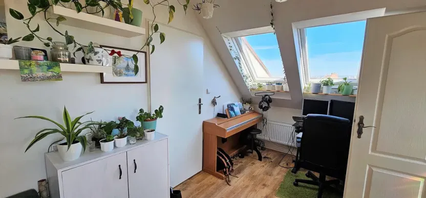 Pronájem bytu 2+kk, Brno - Černovice, Řehořova, 26 m2