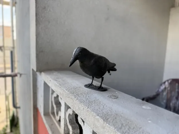 Pronájem bytu 3+1, Brno - Staré Brno, Poříčí, 81 m2