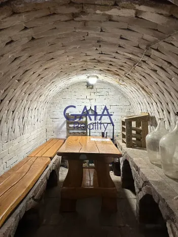 Prodej vinného sklepa, Mutěnice, 45 m2