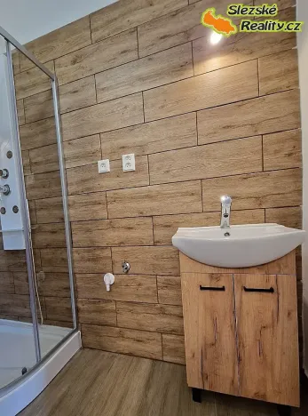 Pronájem bytu 1+1, Ostrava, 39 m2