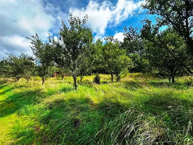 Prodej pozemku pro bydlení, Životice u Nového Jičína, 2065 m2