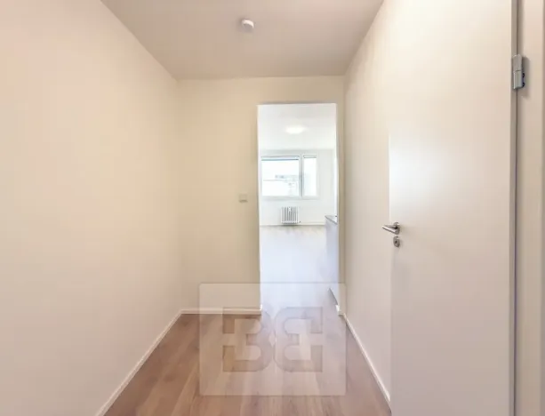 Pronájem bytu 1+kk, Praha - Chodov, Čenětická, 22 m2