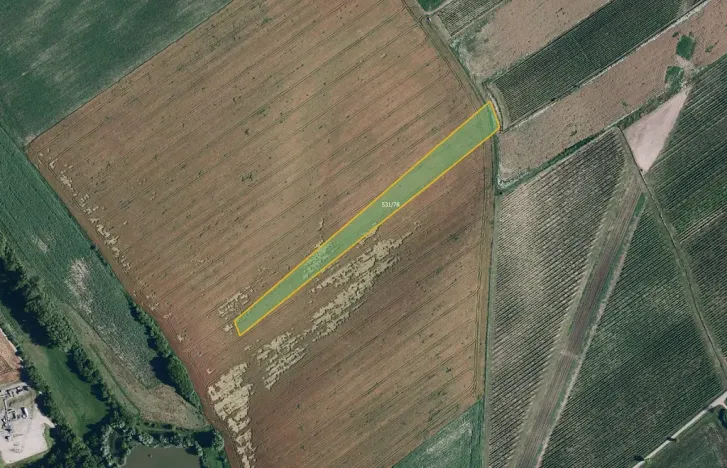 Prodej pole, Nový Poddvorov, 10177 m2